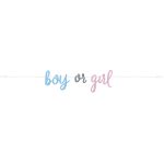 7ft Gender Reveal Banner Blue/Pink